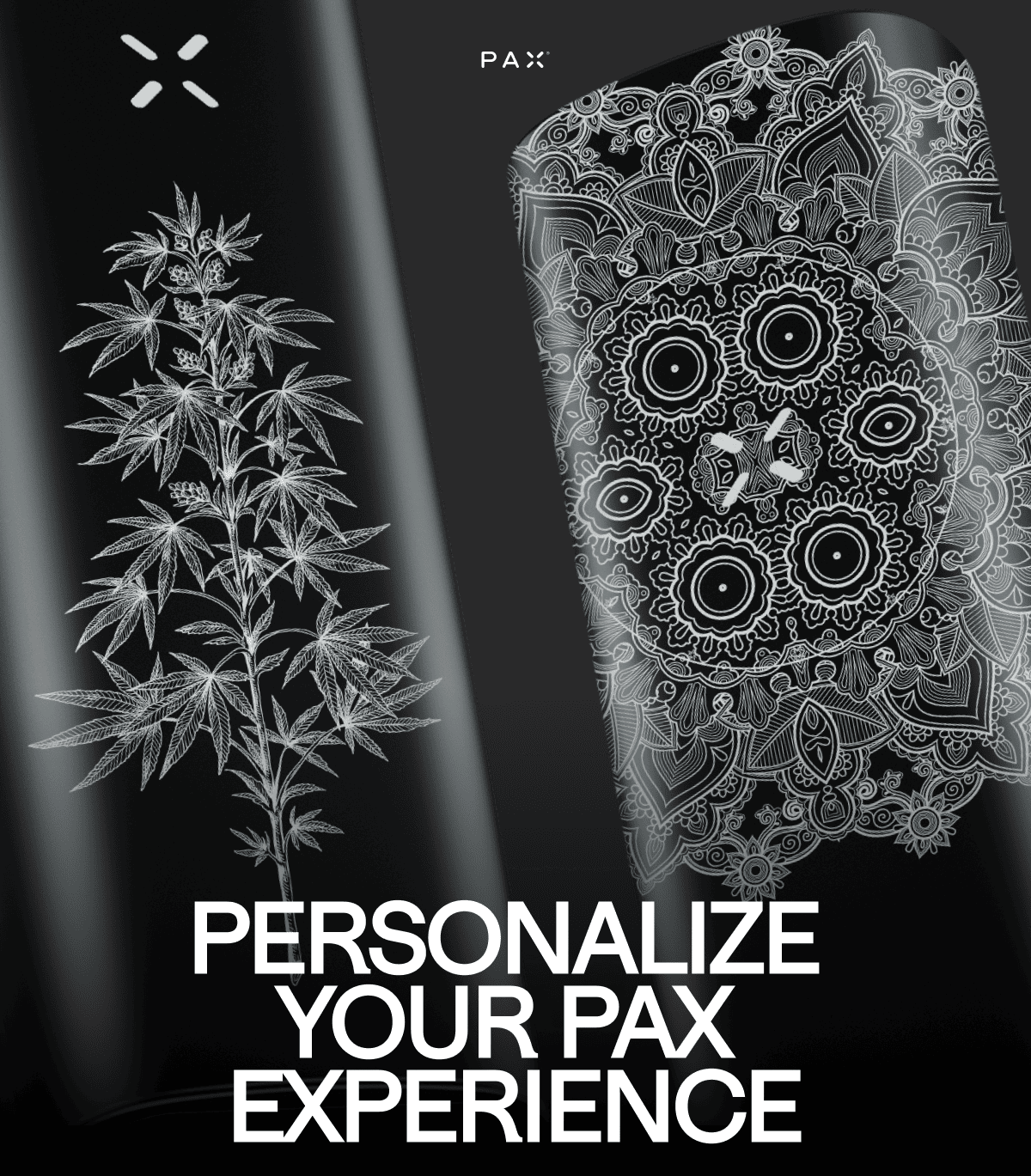 Personalize Your PAX Experience