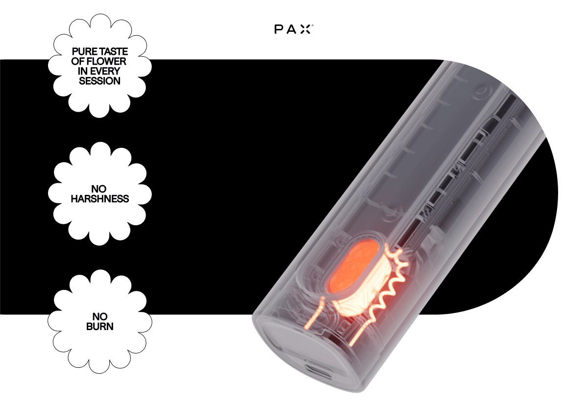 PURE TAST OF FLOWER IN EVERY SESSION, NO HARSHNESS, NO BURN, 