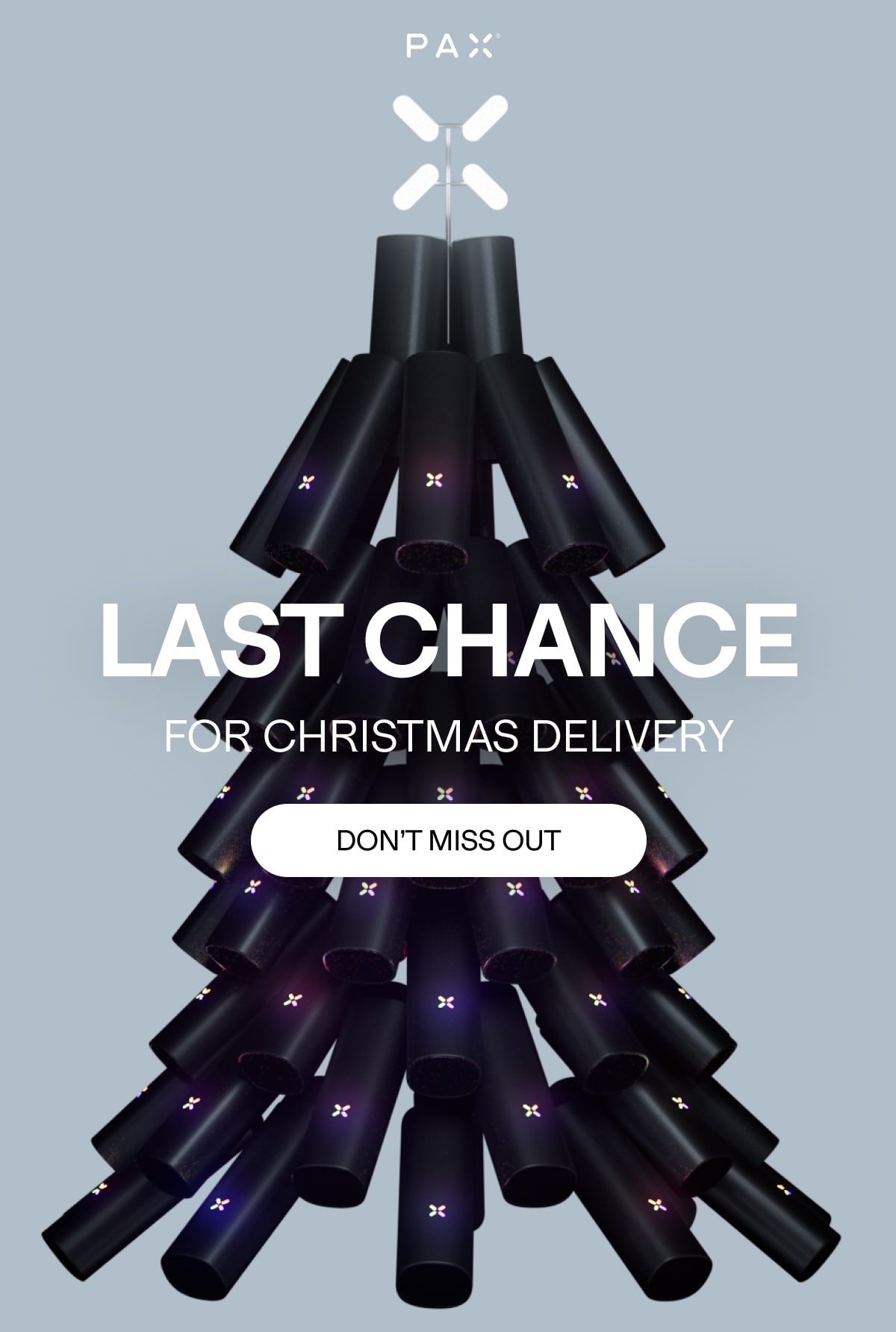 last chance for christmas delivery, don't miss out