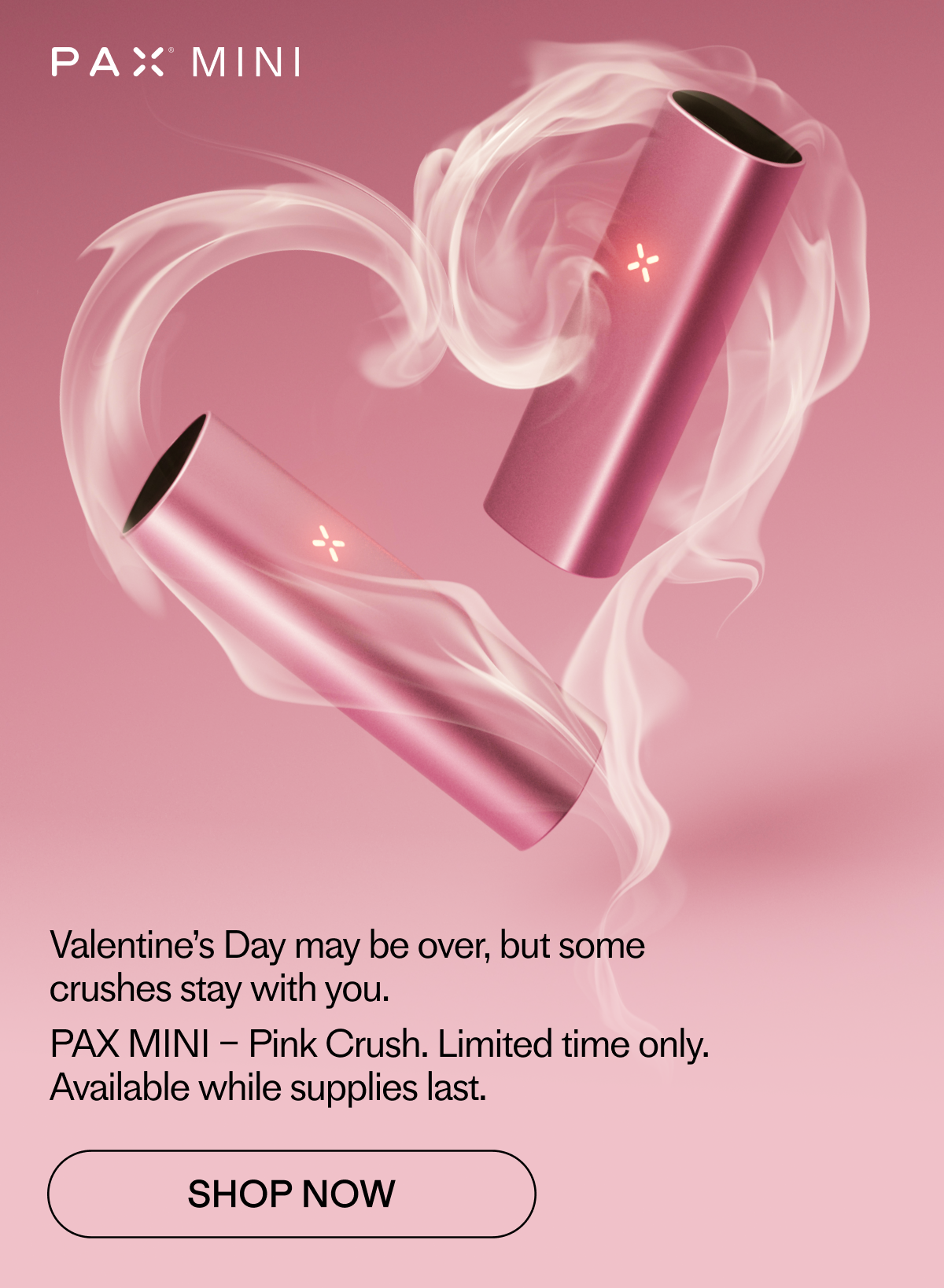 PAX MINI - Pink Crush