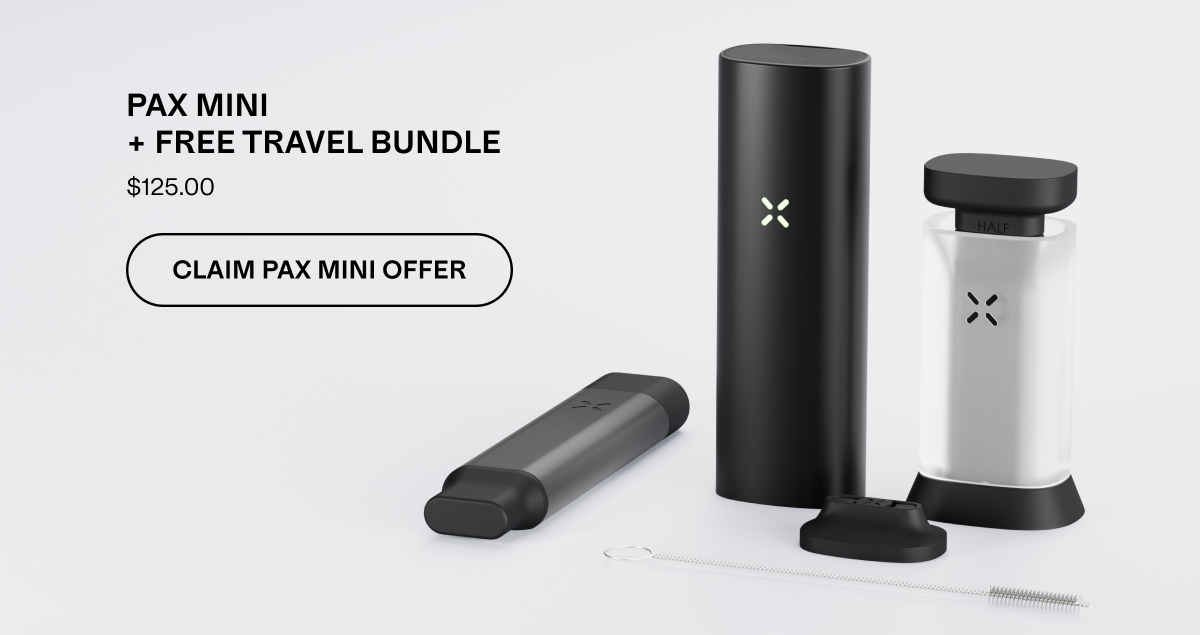 PAX MINI + Free Travel Bundle. $125.00