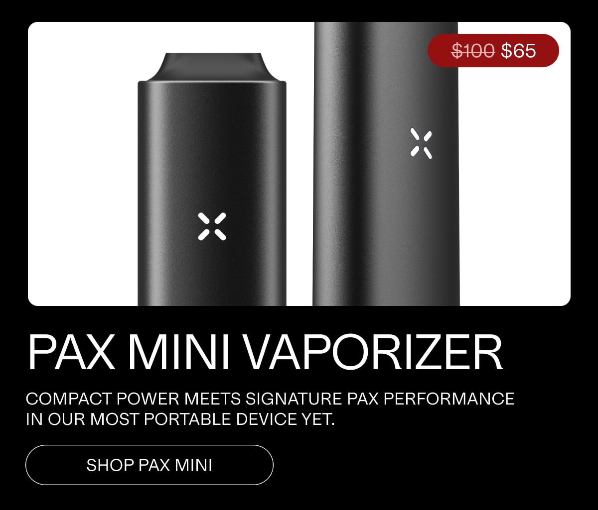 pax mini 