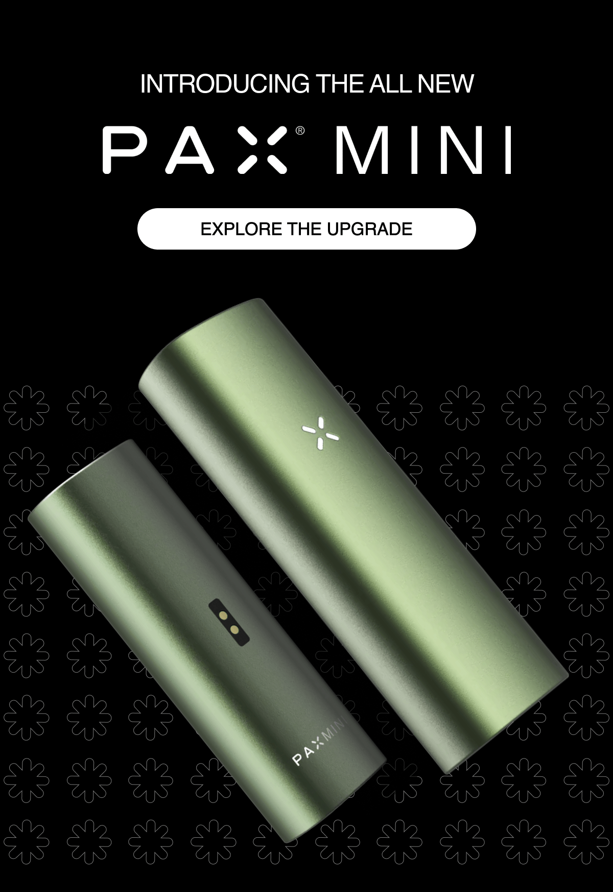 all new pax mini 2
