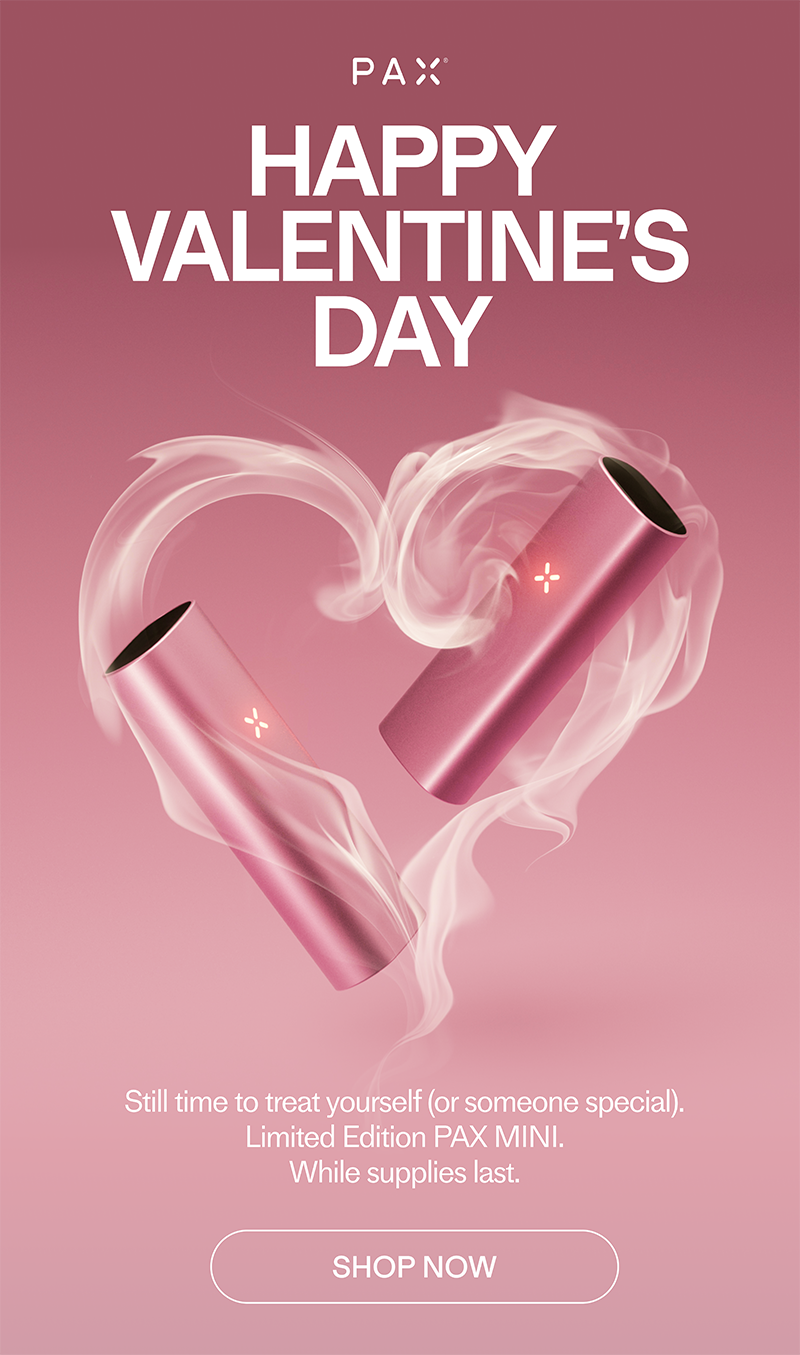 HAPPY VALENTINE'S DAY