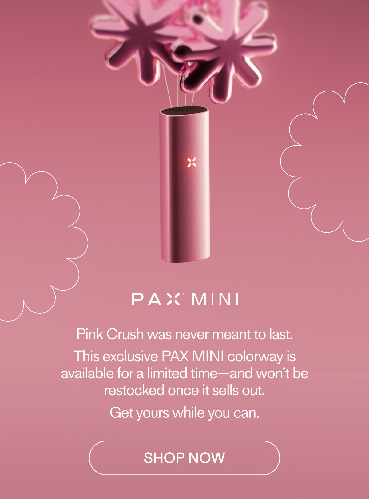 PAX MINI - Pink Crush