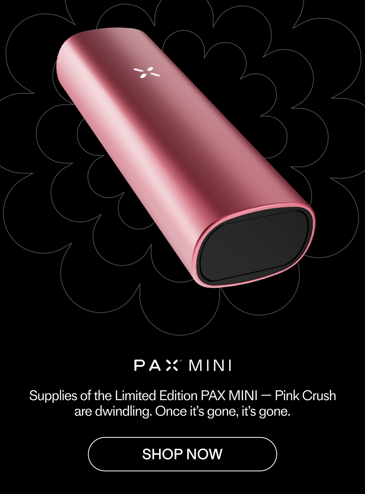 PAX MINI - Pink Crush