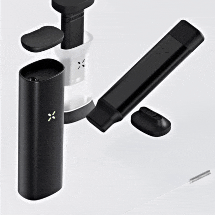 Pax Mini + free bundle 