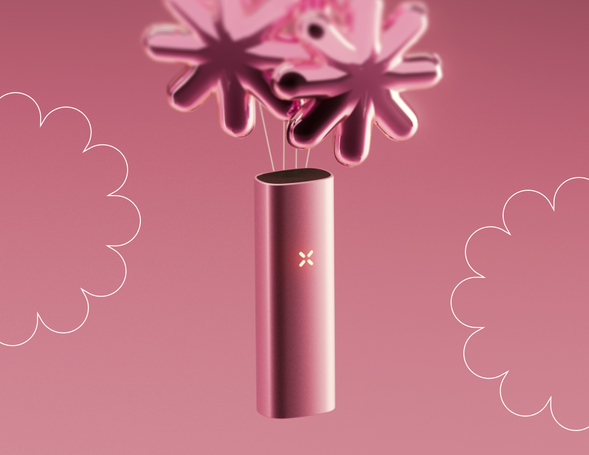 Meet the all new PAX MINI
