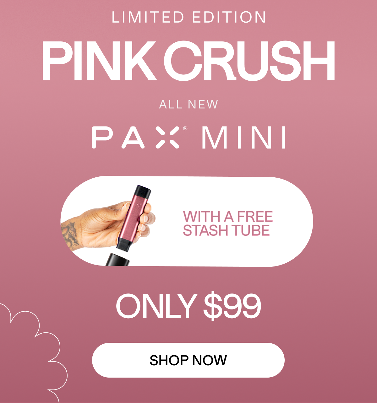 Meet the all new PAX MINI