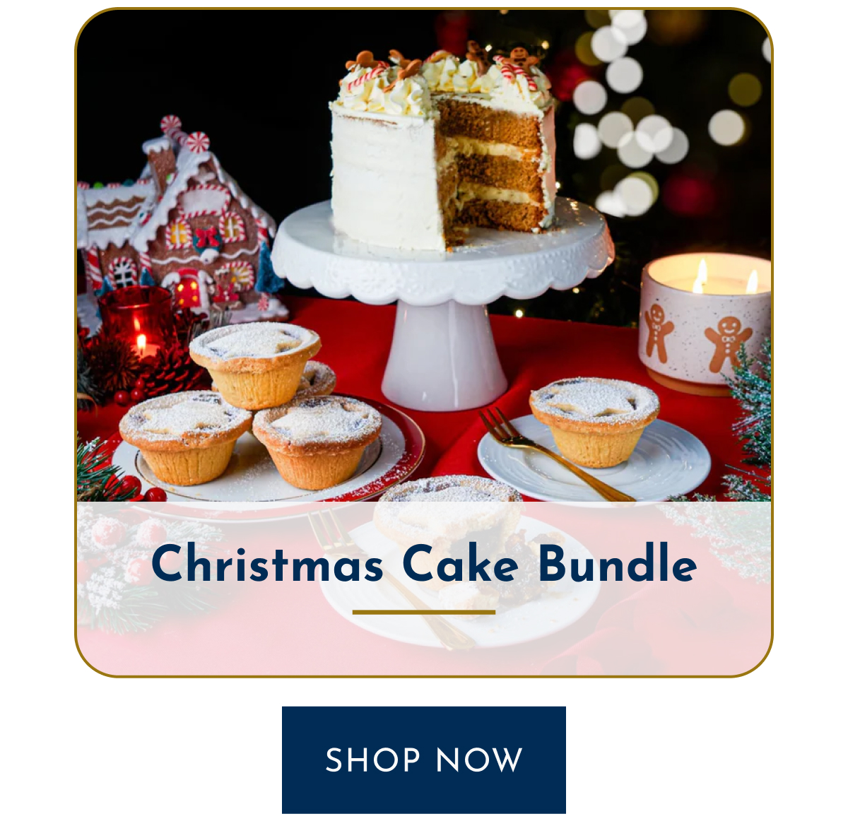 Christmas Cake Bundle SHOP NOW