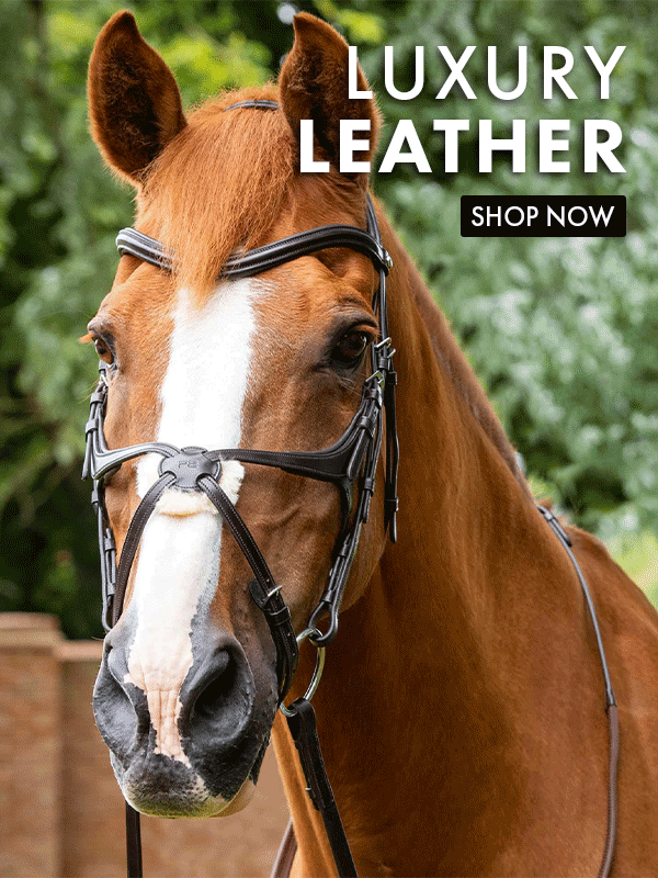 Luxury Leather! Premier Equine