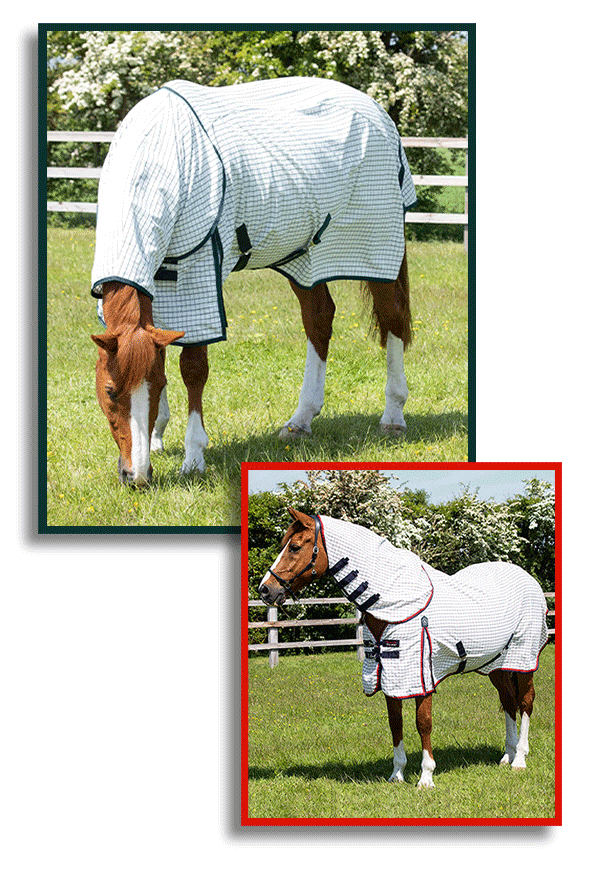 Shop Stable Sheets... Premier Equine