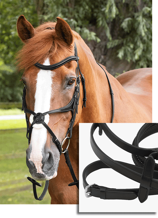 Luxury Italian Leather Bridle Parts & Reins! Premier Equine