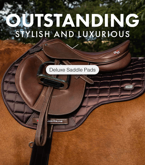 Stylish & Luxurious! Premier Equine