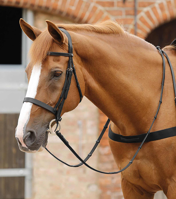 Luxury Italian Leather Bridle Parts & Reins! Premier Equine