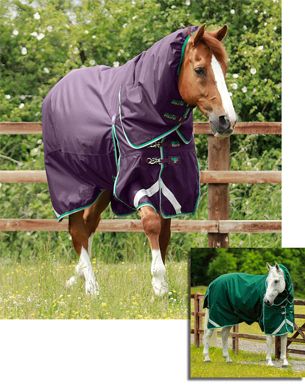 Rugs To Suit The Needs Of Your Horse! Premier Equine