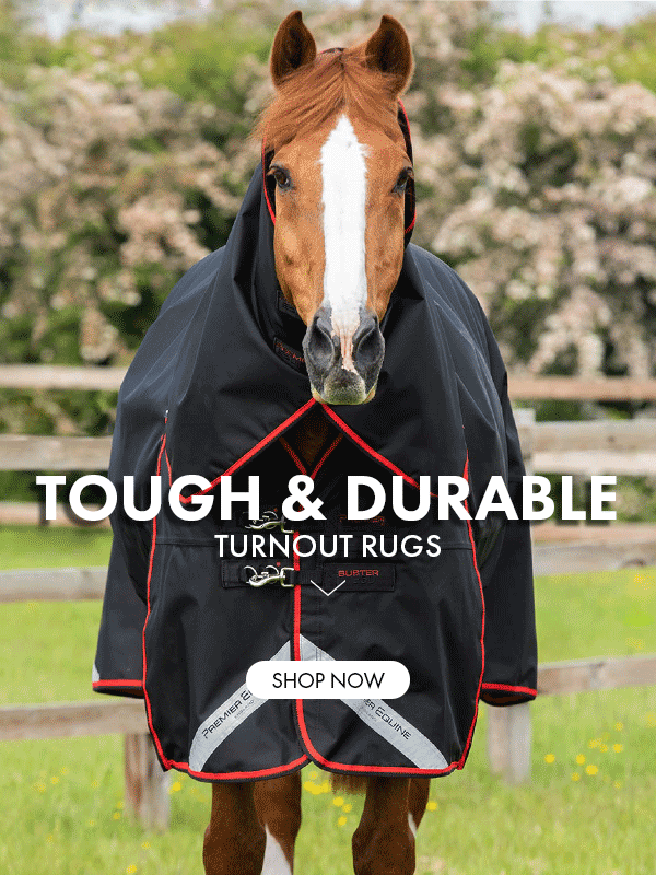Buster Series! Premier Equine