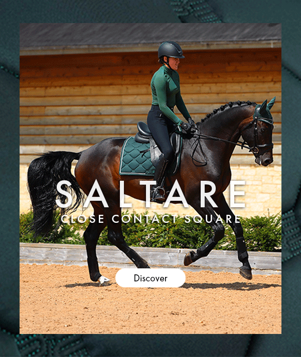 Next Level Luxury! Premier Equine