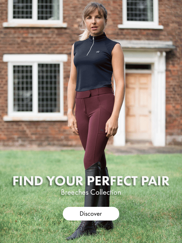 Stylish Breeches Quality and Comfort Combined Premier Equine