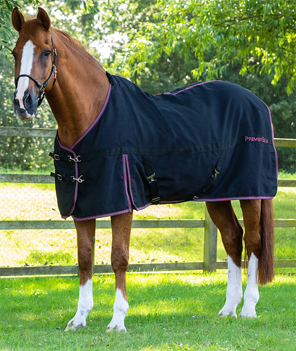 Shop Stable Sheets... Premier Equine