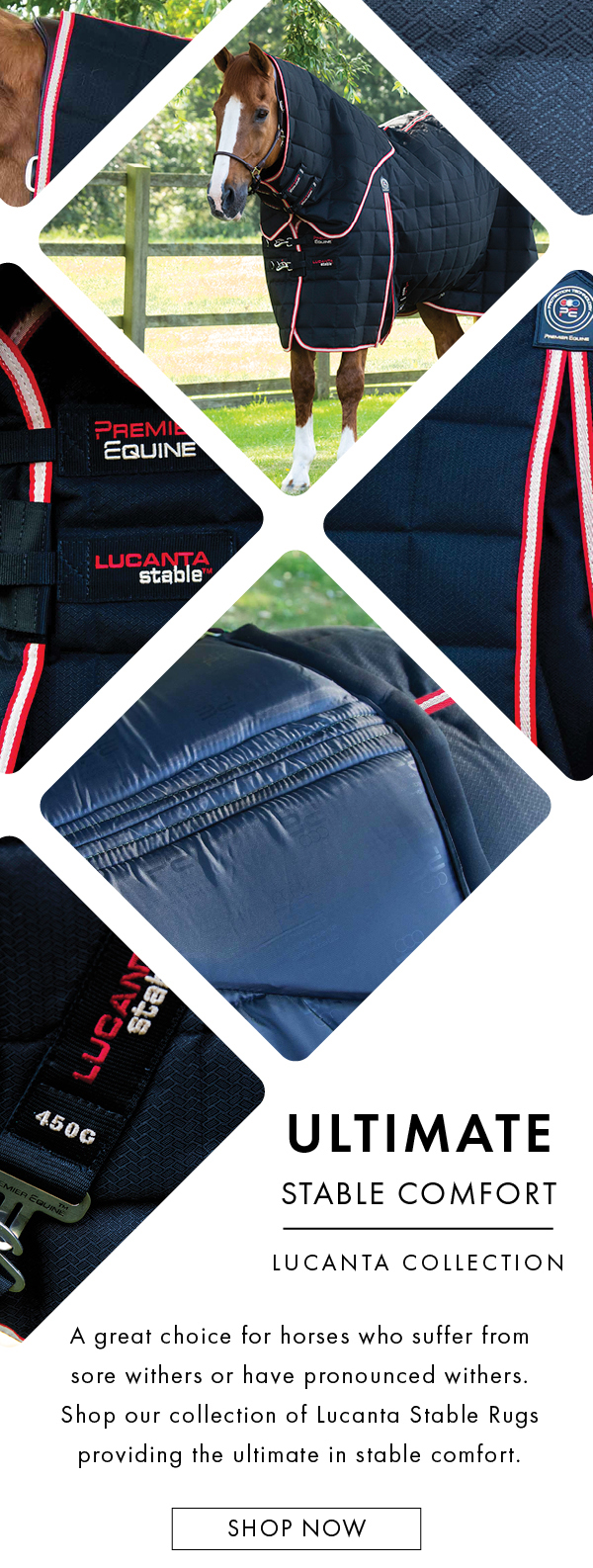 The Lucanta Collection Premier Equine