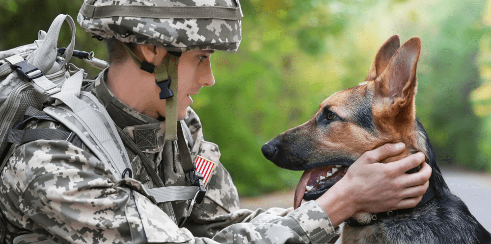 US soldier with a german shepard dog