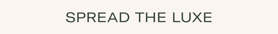 Newsletter content from auratenewyork