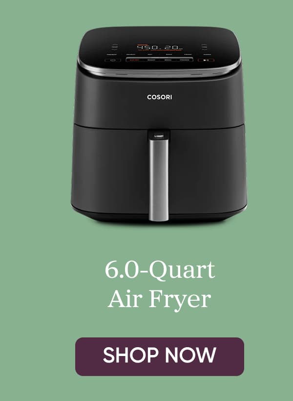 6.0 quart air fryer