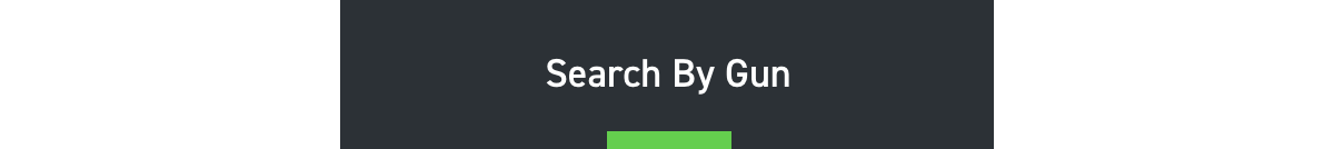 Search By Gun
