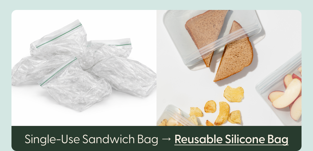 Reusable Silicone Bag