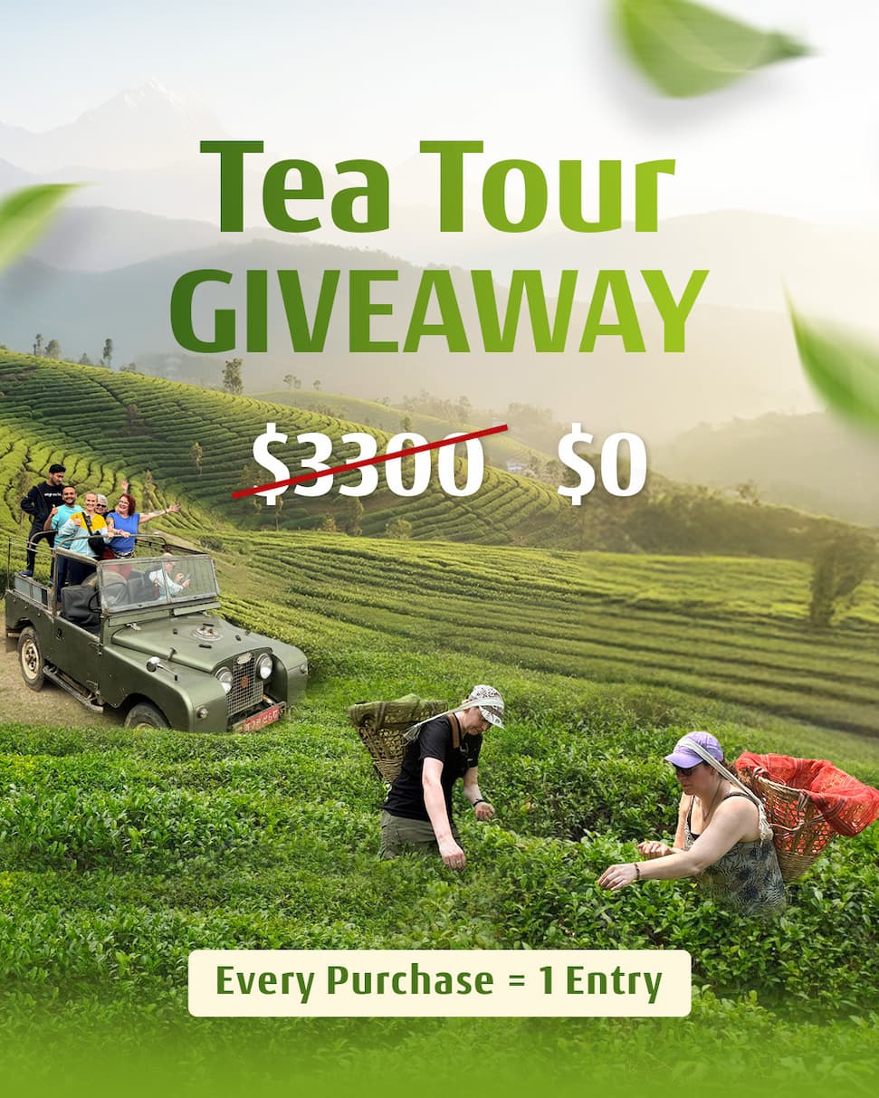 Tea Tours