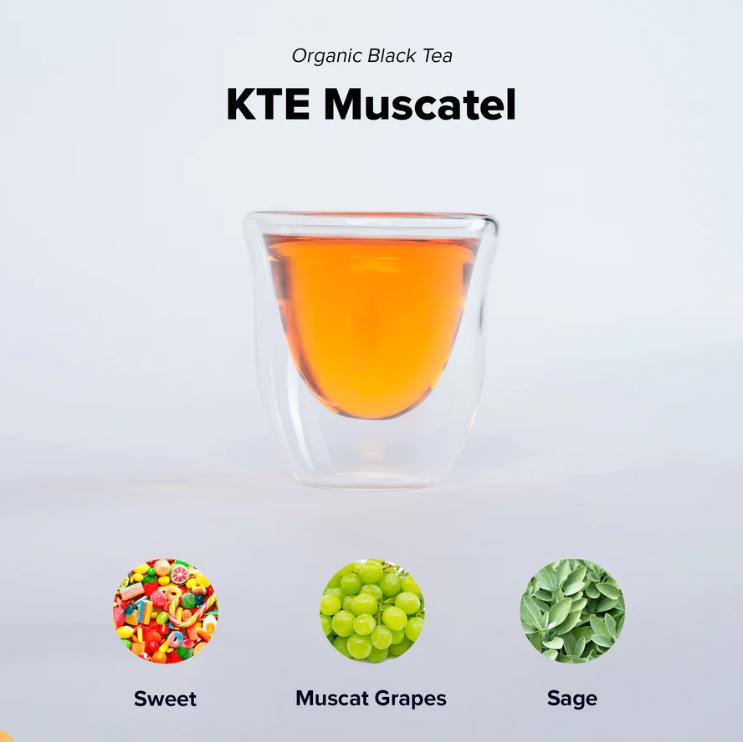 KTE Muscatel