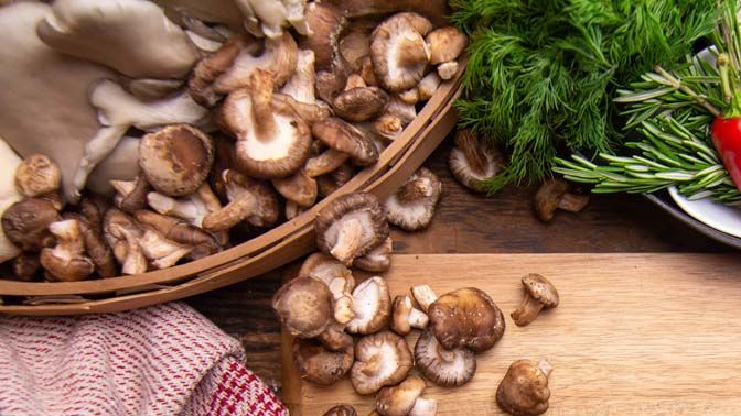 Shiitake and Oyster mushrooms in a basket