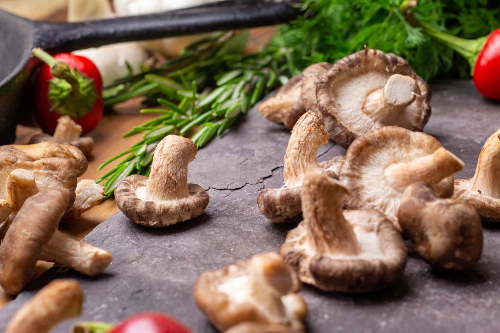 Shiitake scattered on a piece of slate