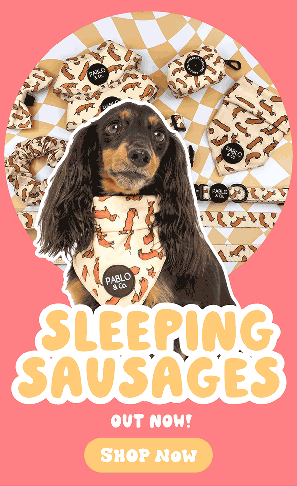 Wavy & Wiener Dogs are back + NEW!! 🌭 Pablo & Co