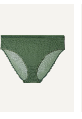 Sheer Mesh High Cut Brief