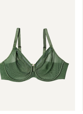 Sheer Mesh Full Coverage Unlined Underwire Bra