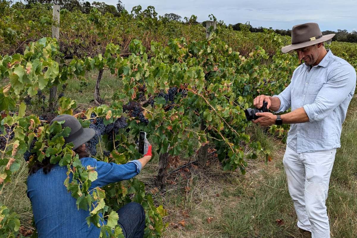 Behind the scenes photographing the grape clusters during the March harvest