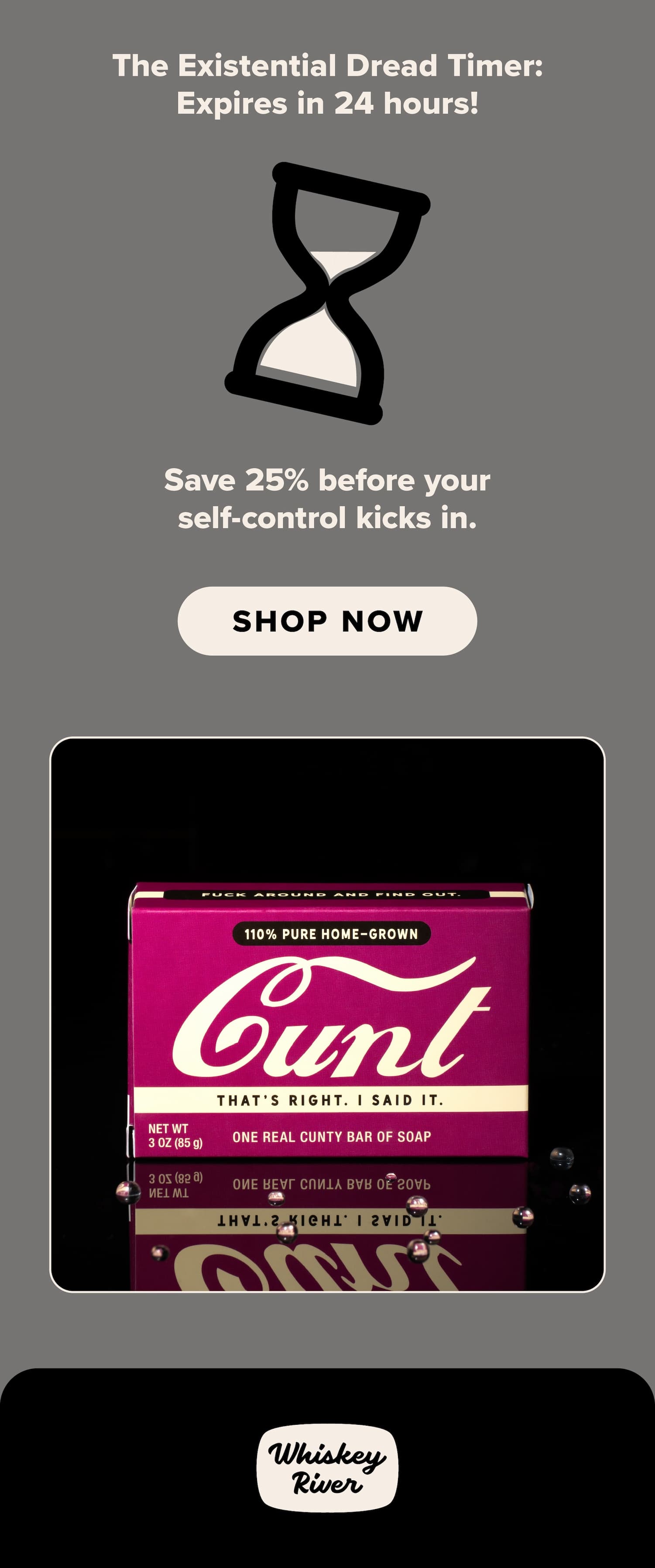 The Existential Dread Timer: Expires in 24 hours! Save 25% before your self-control kicks in. Shop now.