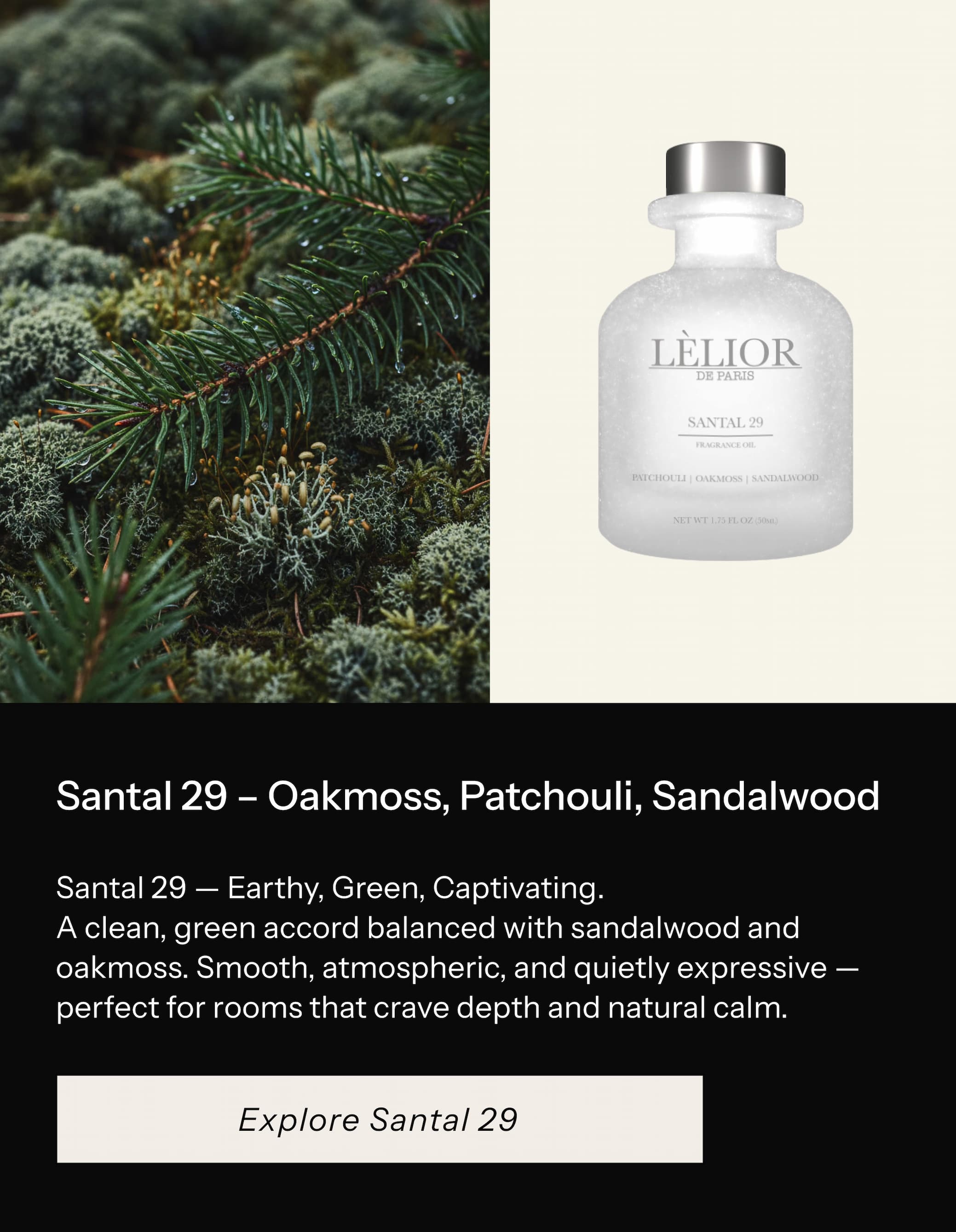 Santal 29 — Earthy, Green, Captivating.  A clean, green accord balanced with sandalwood and oakmoss. Smooth, atmospheric, and quietly expressive — perfect for rooms that crave depth and natural calm.