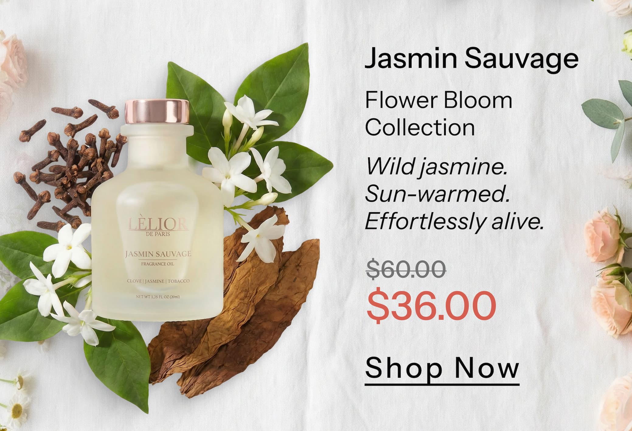 Jasmin Sauvage Flower Bloom Collection Wild jasmine. Sun-warmed. Effortlessly alive.