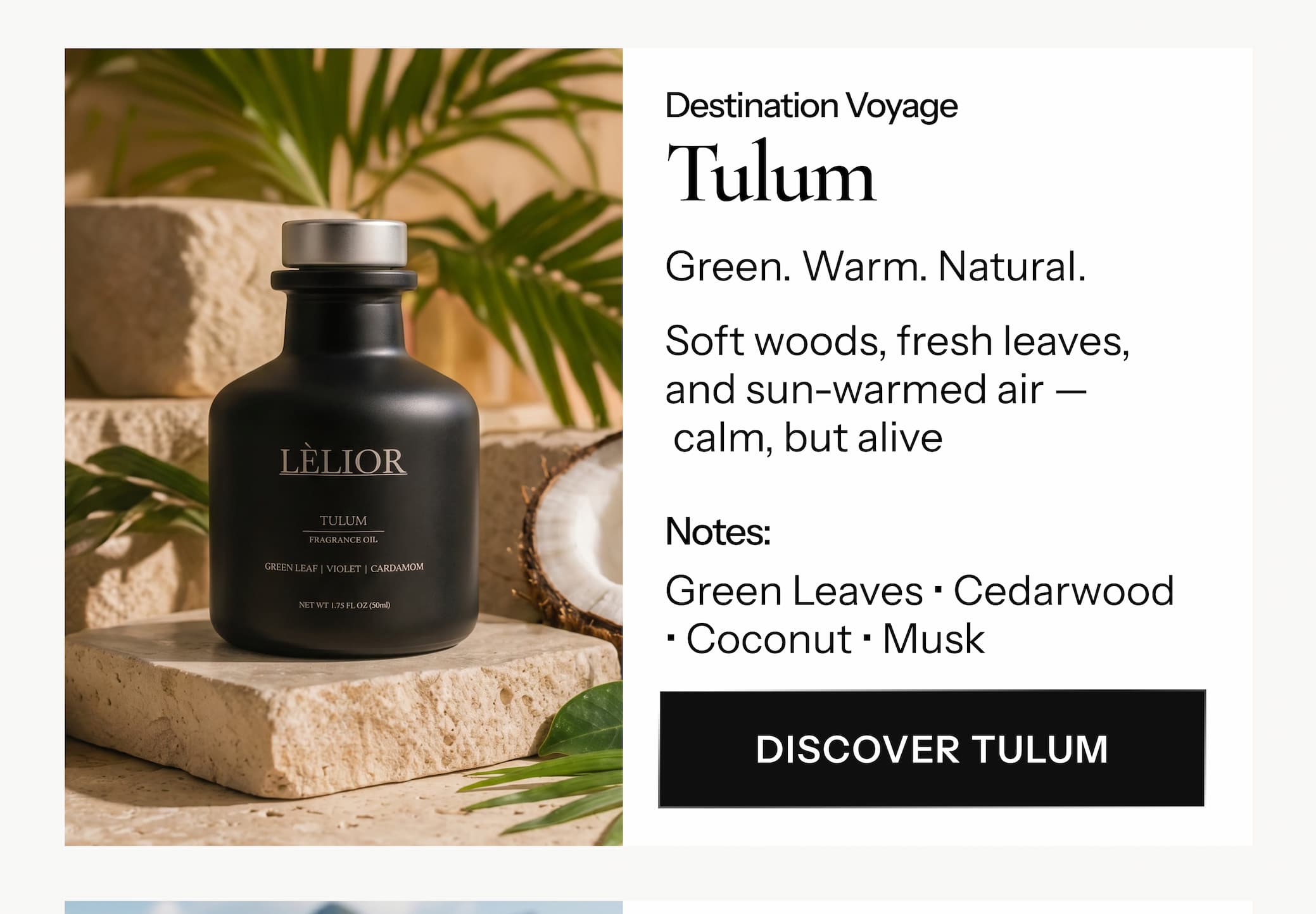 Destination Voyage — Tulum Green. Warm. Natural. Soft woods, fresh leaves, and sun-warmed air —  calm, but alive.