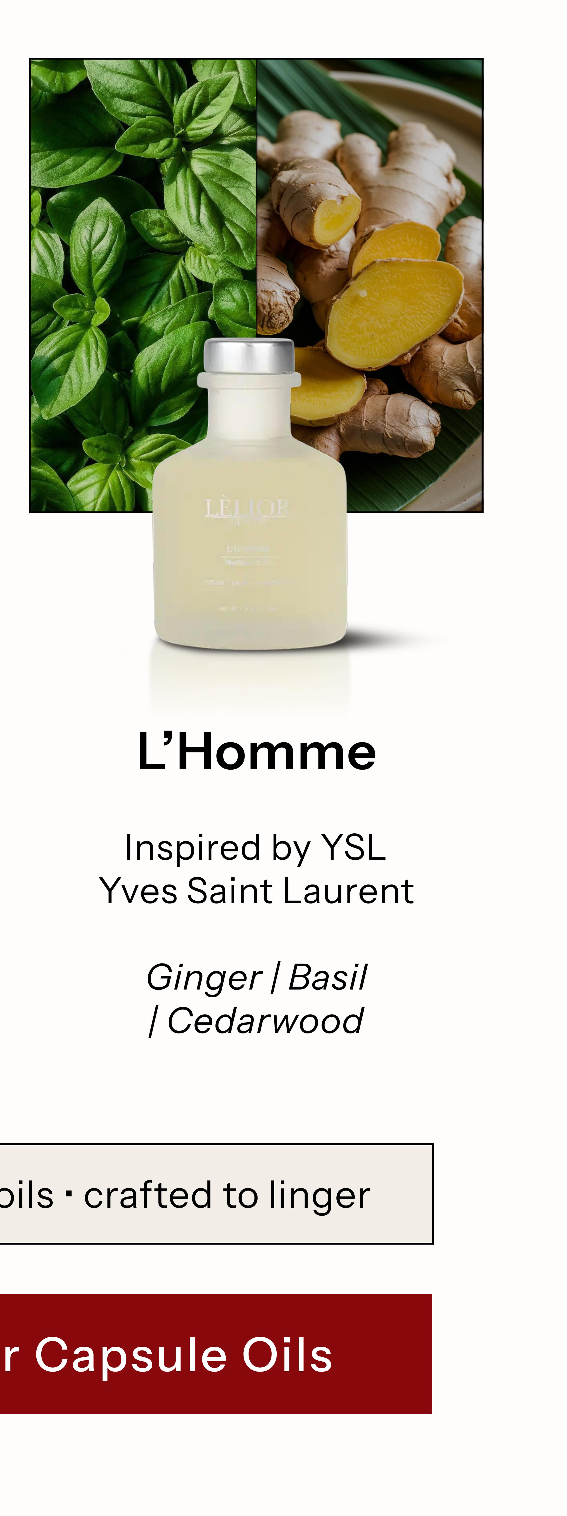 L'Homme  Inspired by YSL Yves Saint Laurent ® Ginger | Basil | Cedarwood