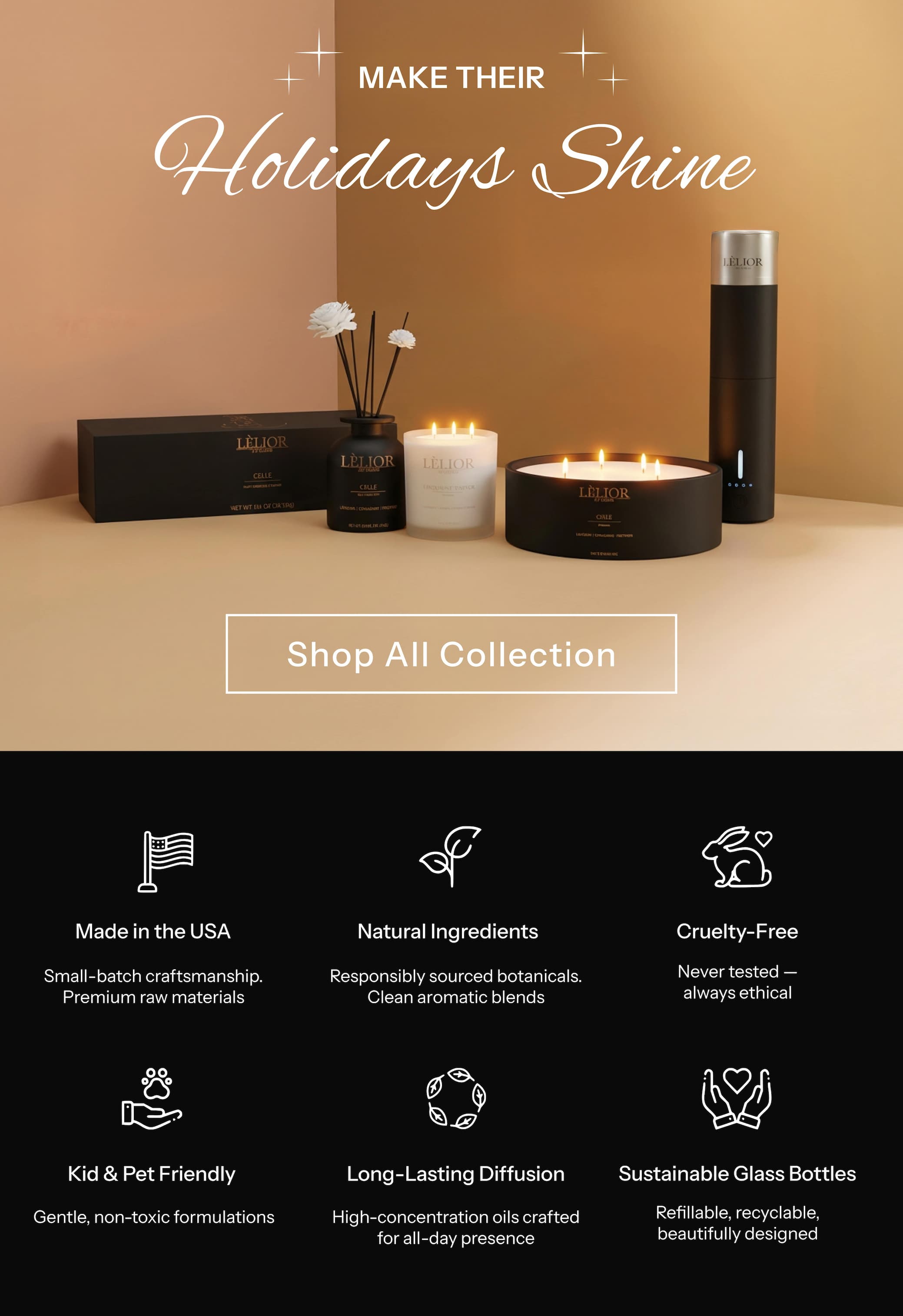 Make Their Holidays Shine