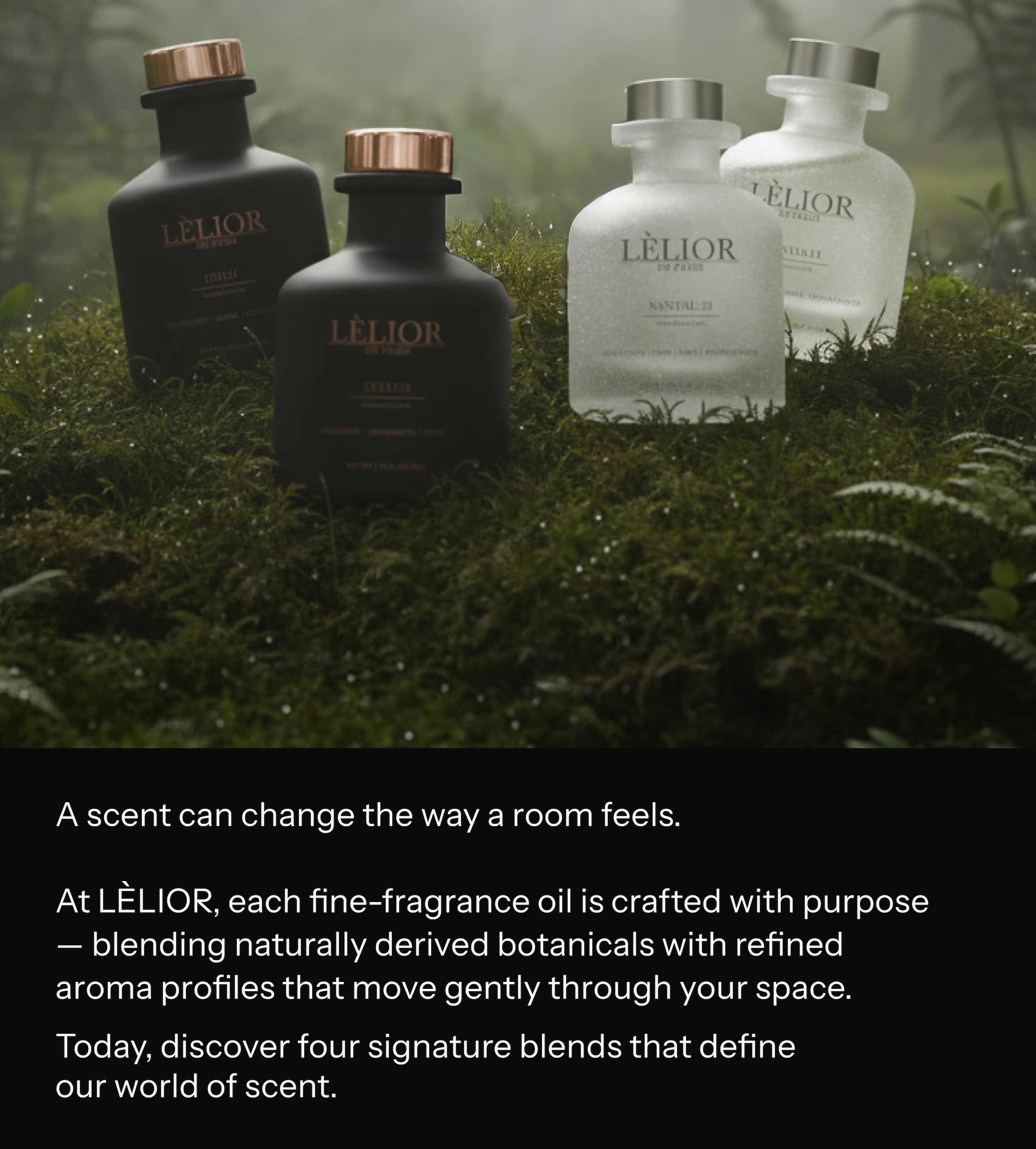 Naturally derived botanicals. Perfumer-crafted blends. Atmospheric scent for modern spaces.