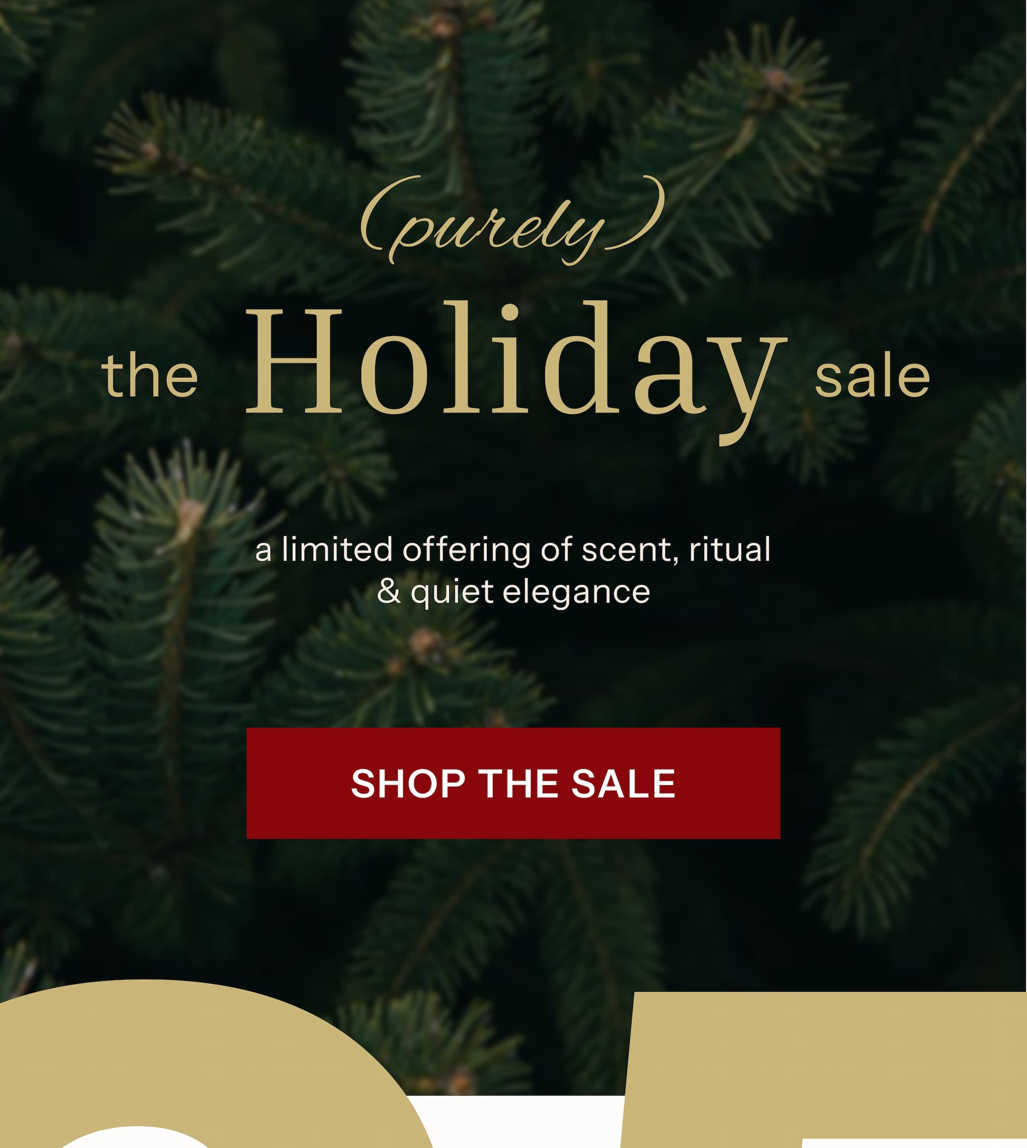 (purely) the Holiday Sale