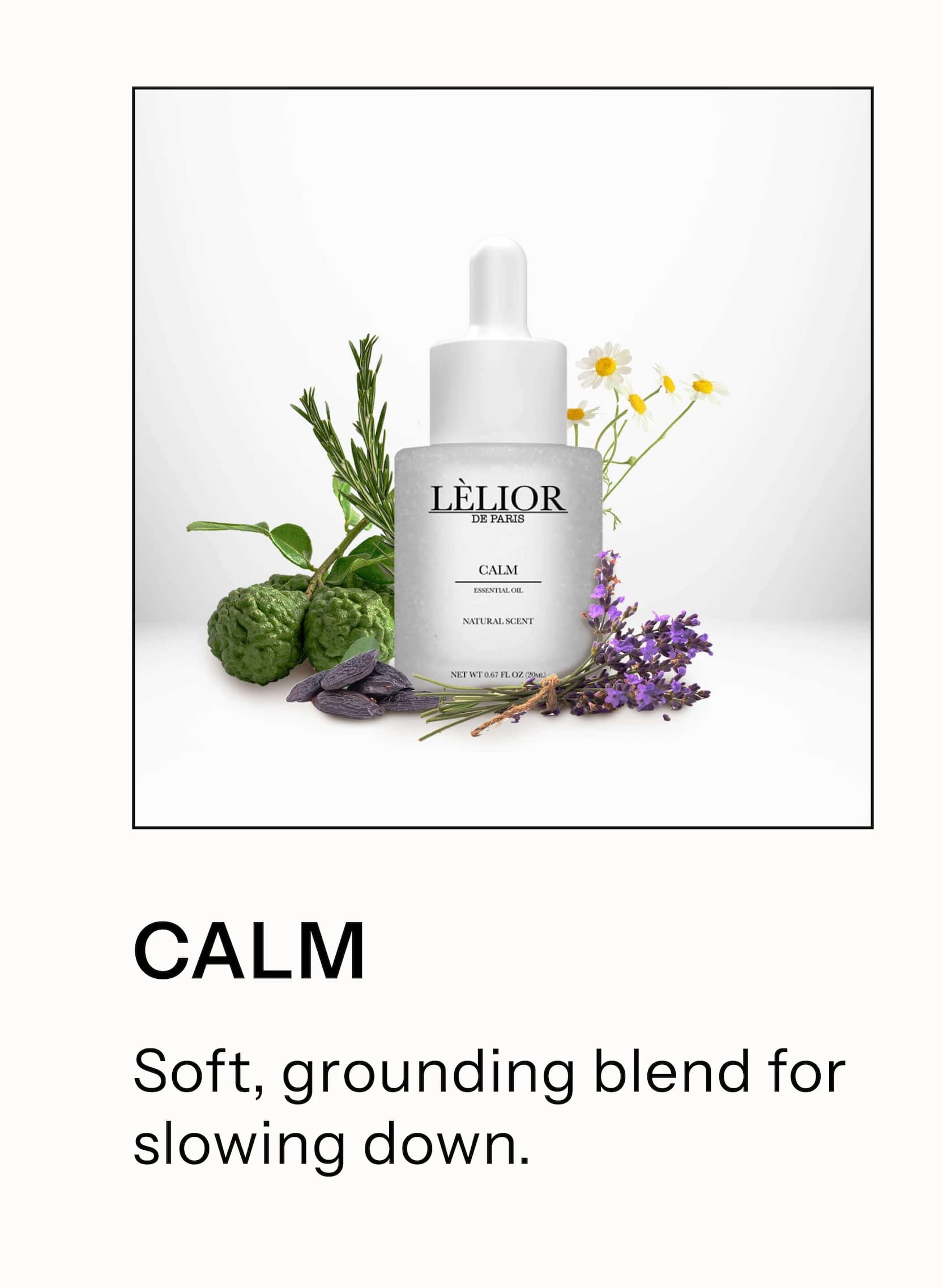 Calm Soft, grounding blend for slowing down.