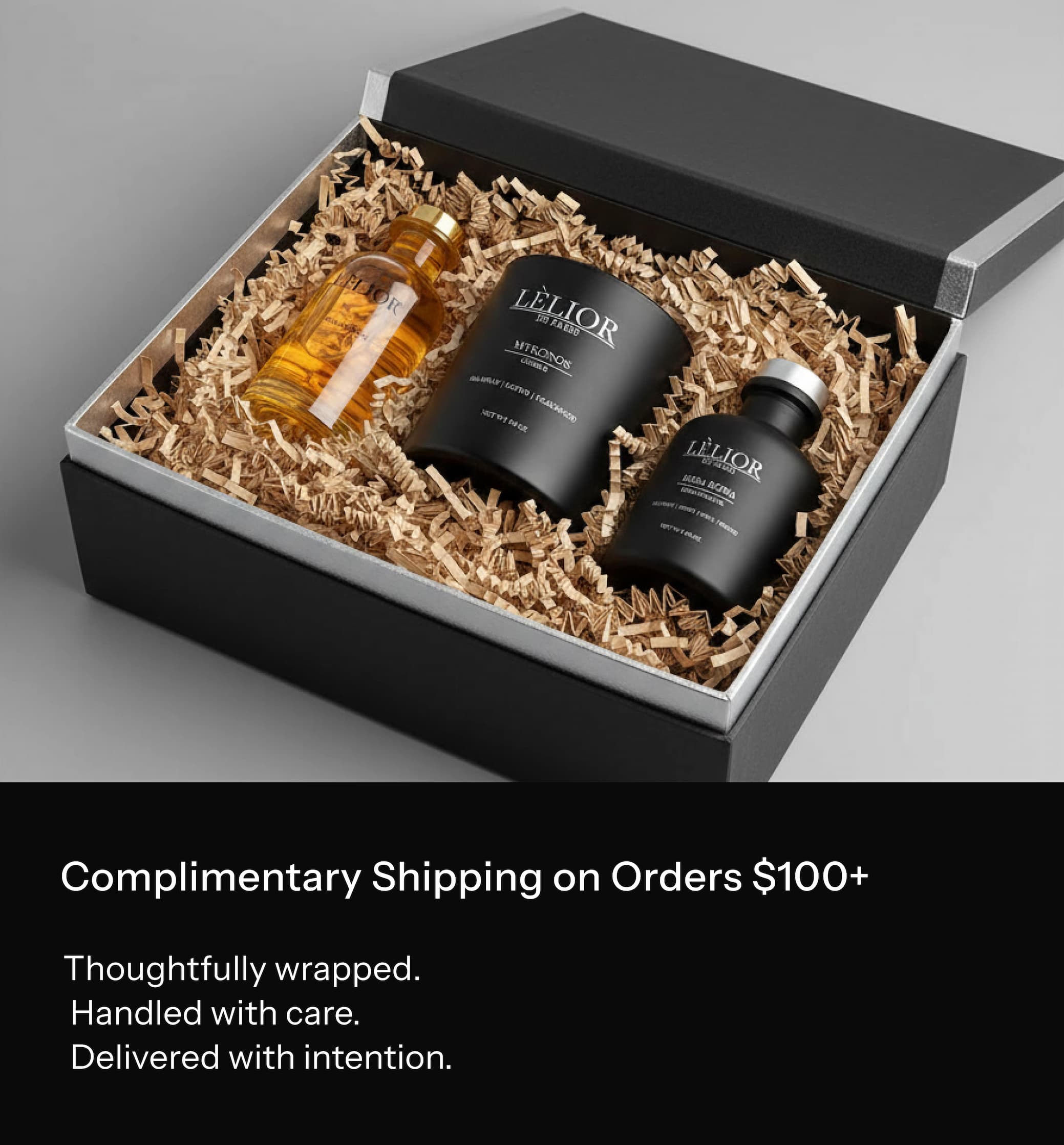 Complimentary Shipping on Orders $100+