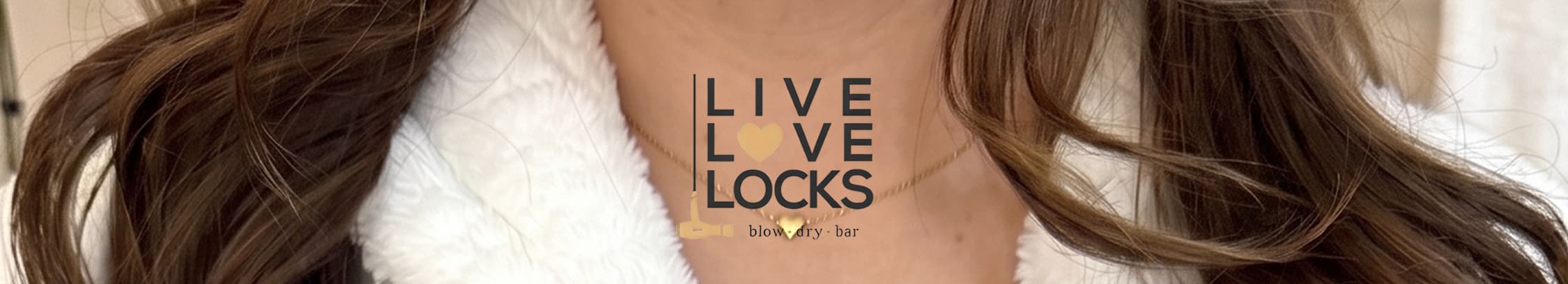 LIVE LOVE LOCKS LOGO