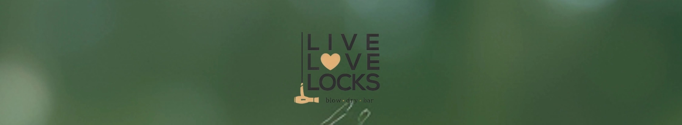 LIVE LOVE LOCKS LOGO